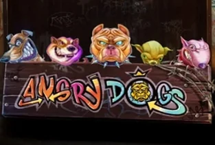 Angry Dogs